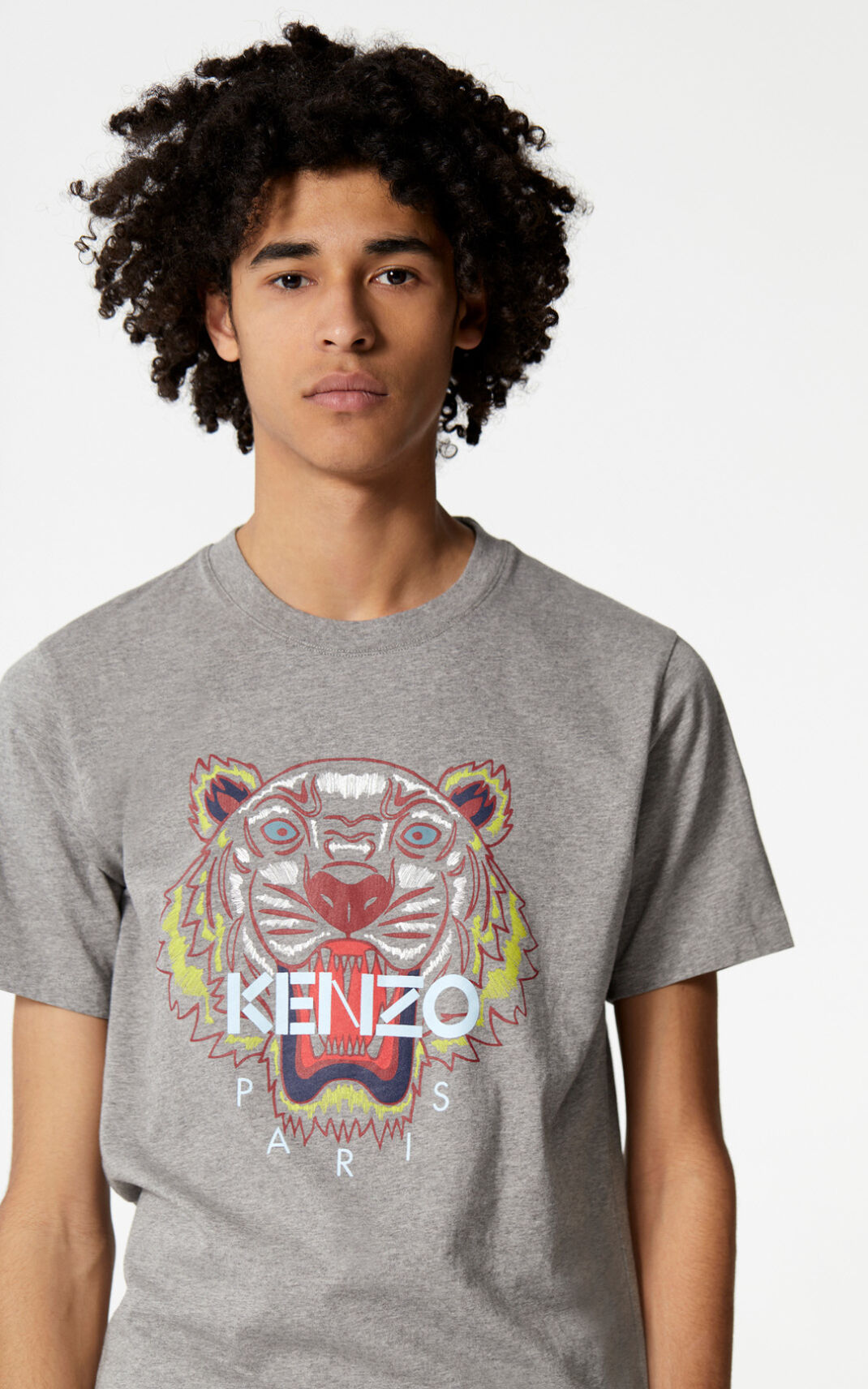 Kenzo Tiger T Shirt Grey For Mens 1430QNESX